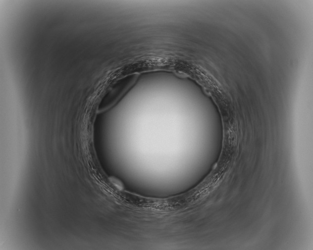 X0000116670961200912211600