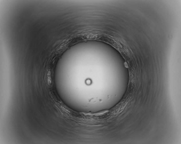 X0000116670962200912211600