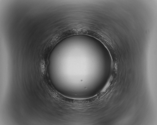 X0000116670963200912211600