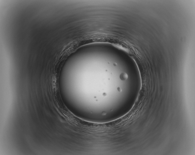 X0000116670964200912211600