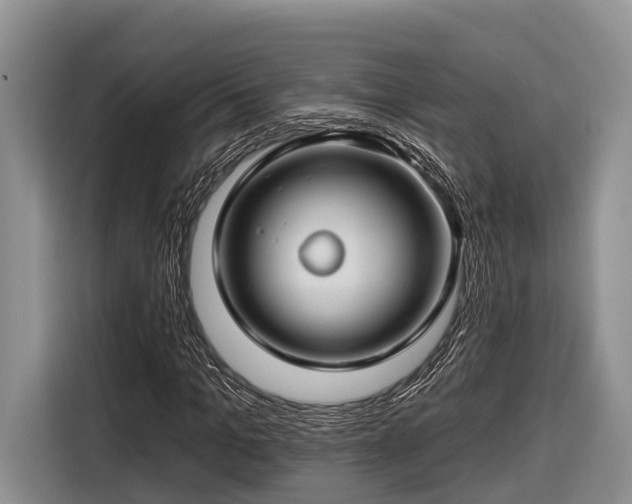 X0000116670965200912211600