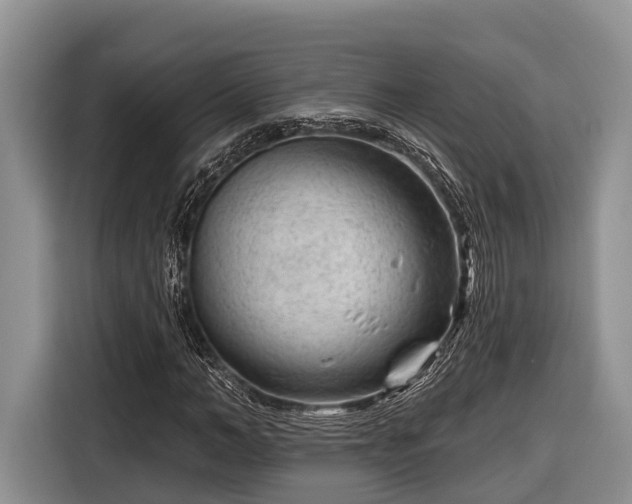 X0000116670966200912211600