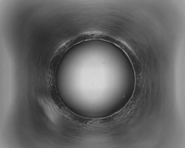 X0000116670967200912211600