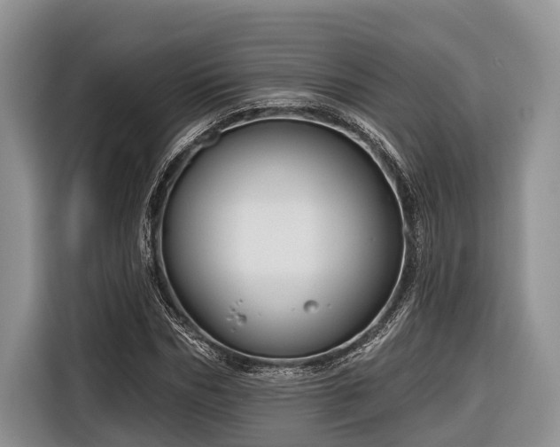 X0000116670970200912211600