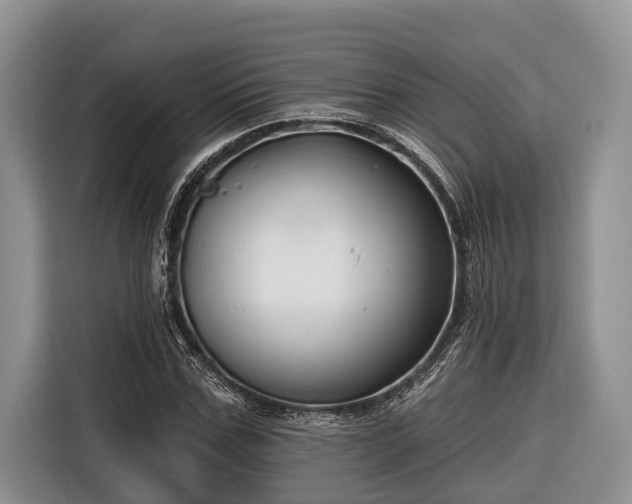 X0000116670971200912211600