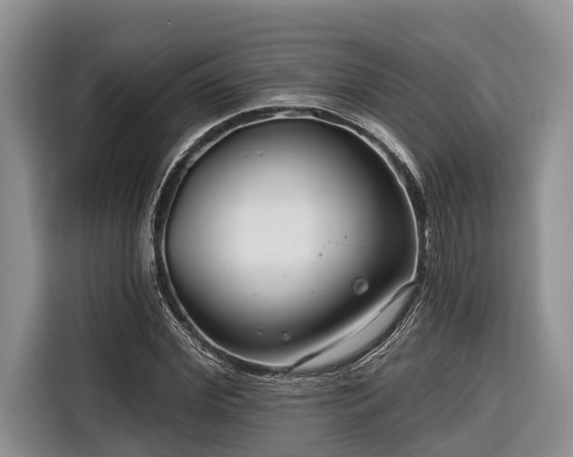 X0000116670972200912211600