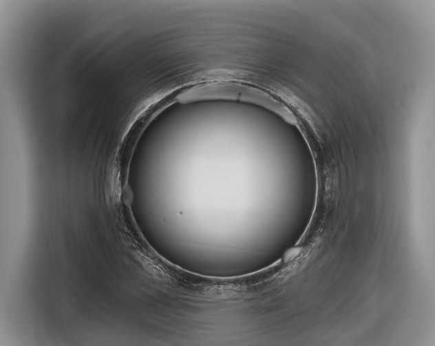 X0000116670973200912211600