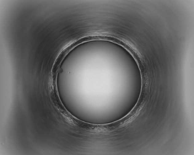 X0000116670974200912211600