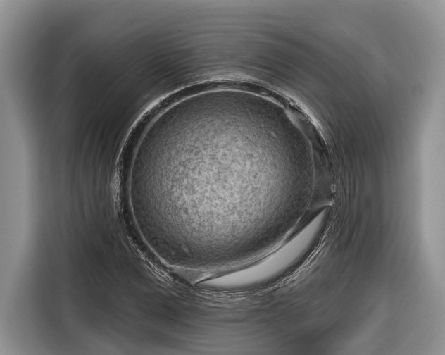 X0000116670975200912211600