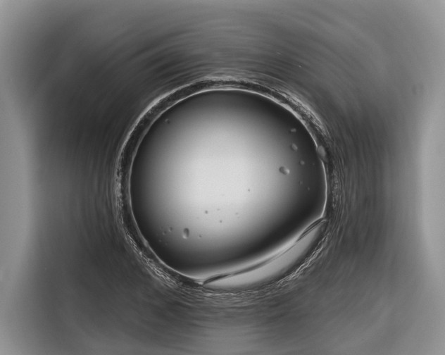 X0000116670976200912211600