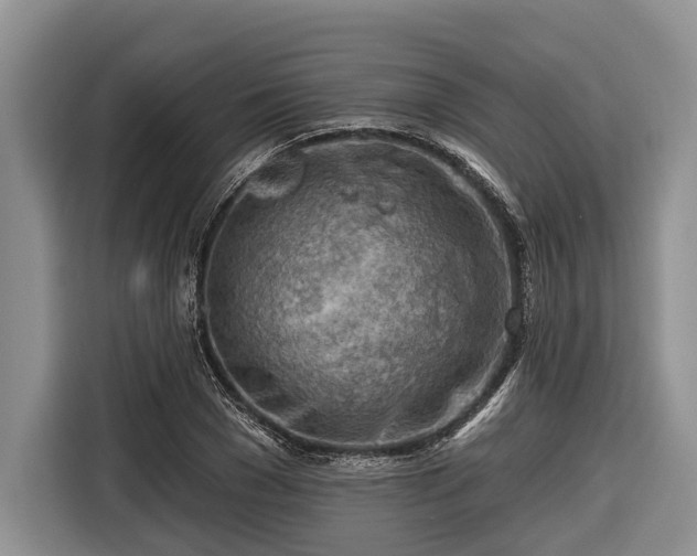 X0000116670977200912211600