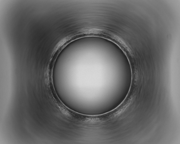 X0000116670978200912211600