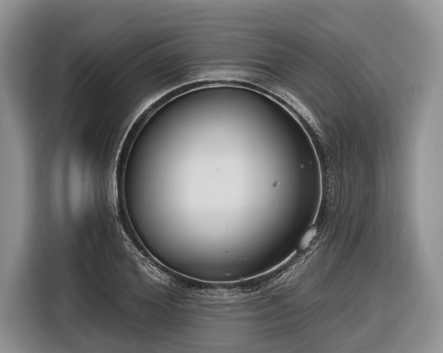 X0000116670980200912211600