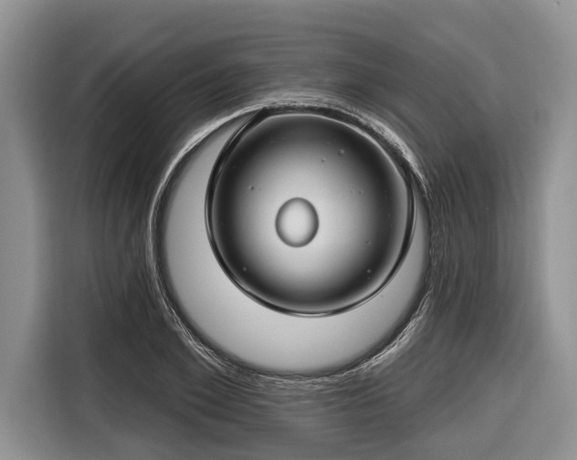 X0000116670981200912211600