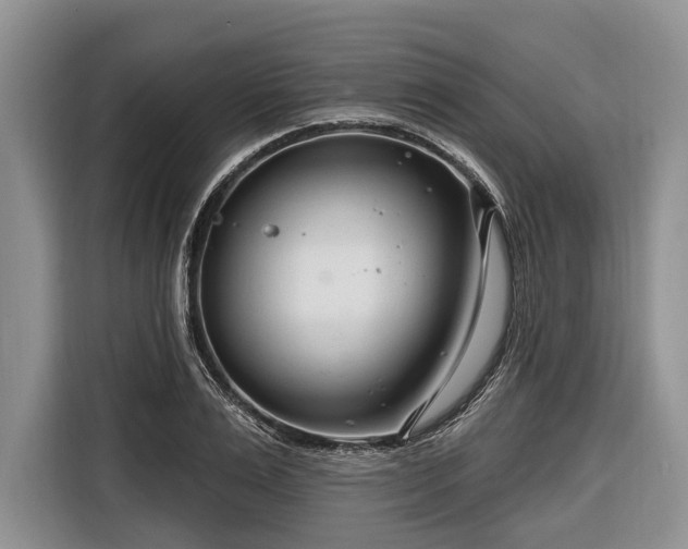 X0000116670983200912211600