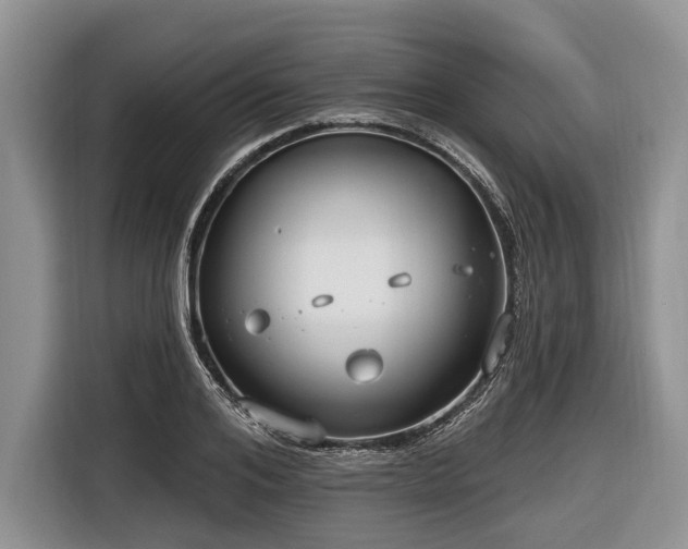 X0000116670984200912211600