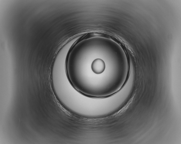 X0000116670985200912211600