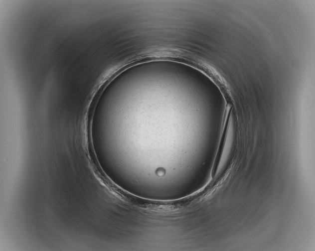 X0000116670986200912211600