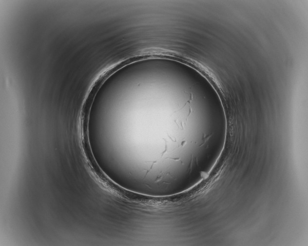 X0000116670987200912211600