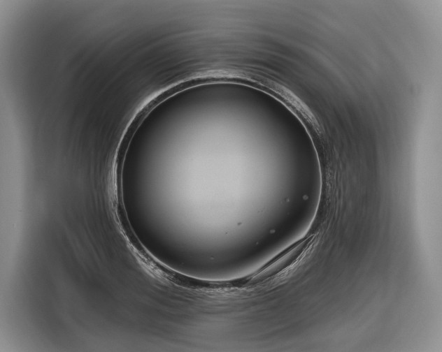 X0000116670988200912211600