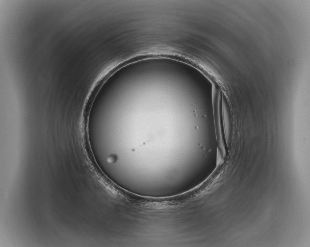 X0000116670990200912211600