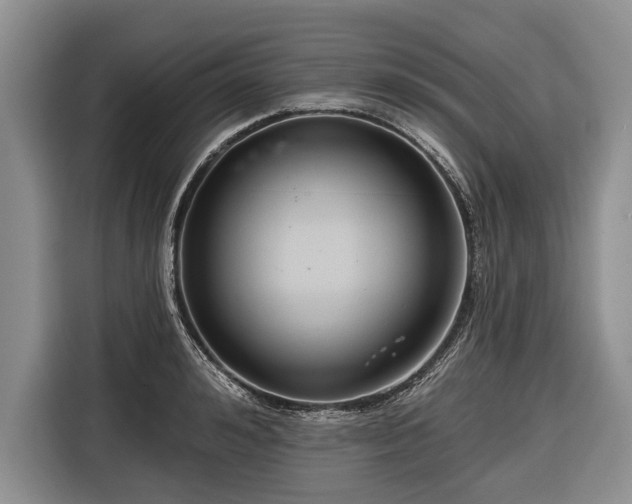 X0000116670992200912211600