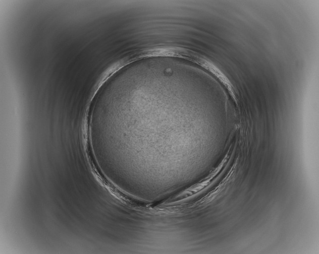 X0000116670994200912211600