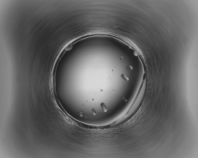 X0000116670996200912211600