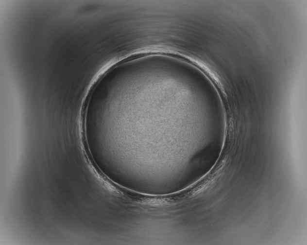 X0000116670998200912211600