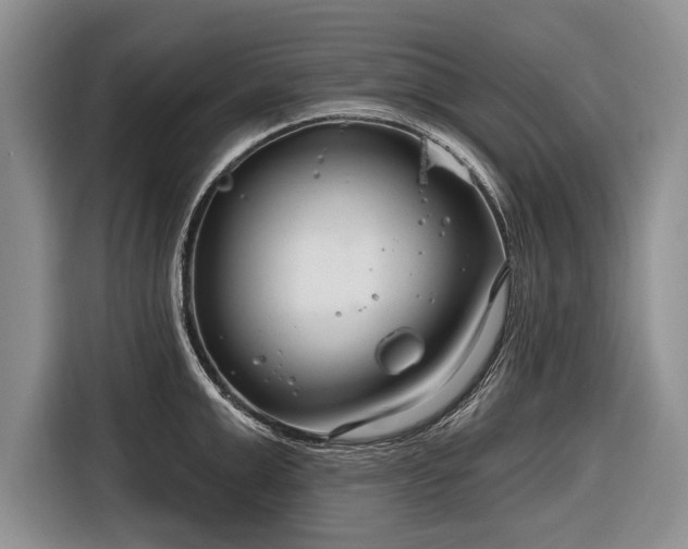 X0000116670999200912211600