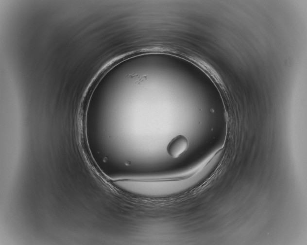 X0000116671000200912211600