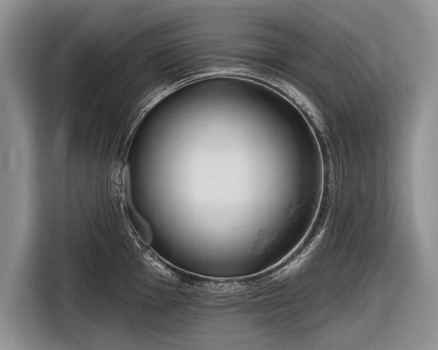 X0000116671001200912211600