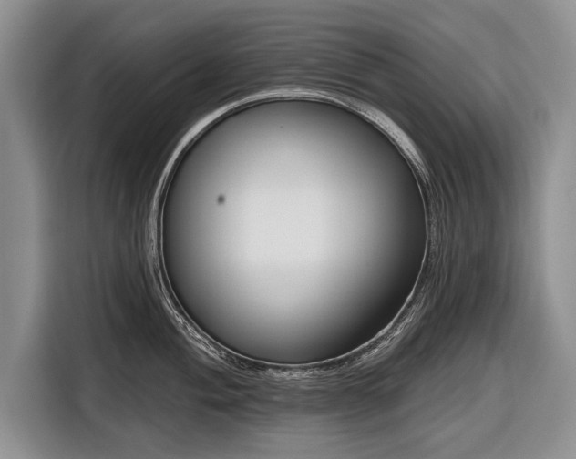 X0000116671004200912211600