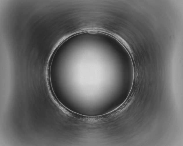 X0000116671005200912211600