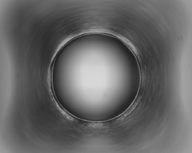 X0000116671006200912211600