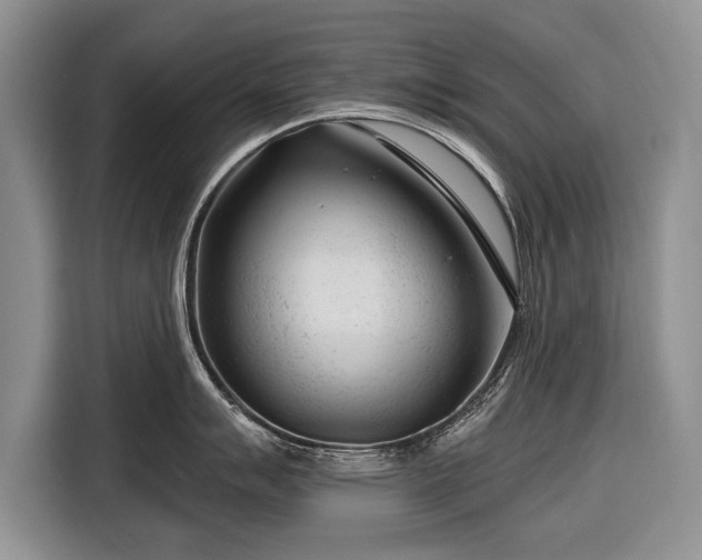 X0000116671007200912211600