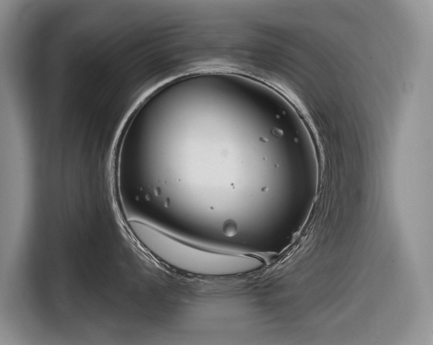 X0000116671008200912211600