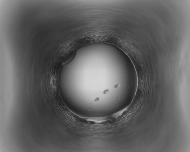 X0000116671010200912211559