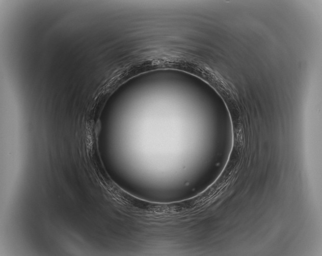 X0000116671012200912211559