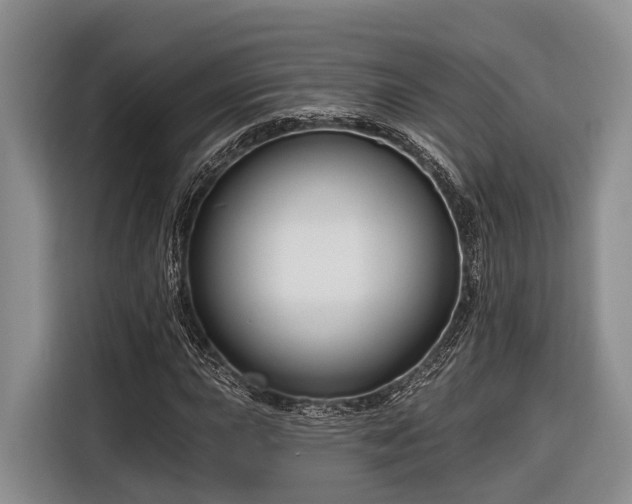 X0000116671015200912211559