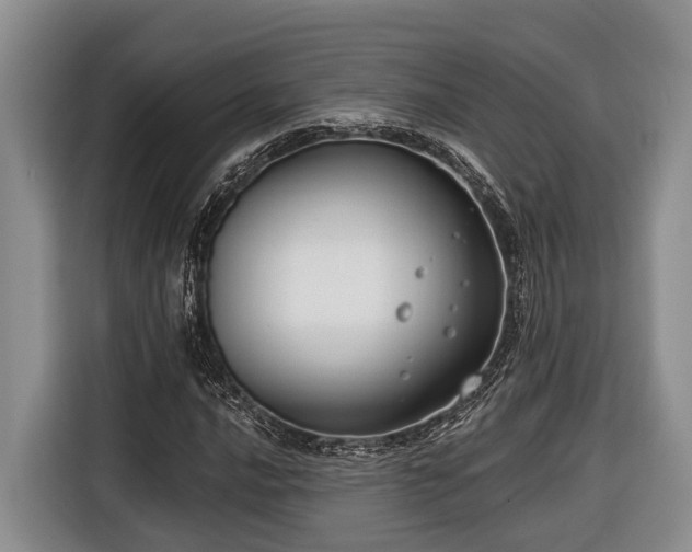 X0000116671016200912211559