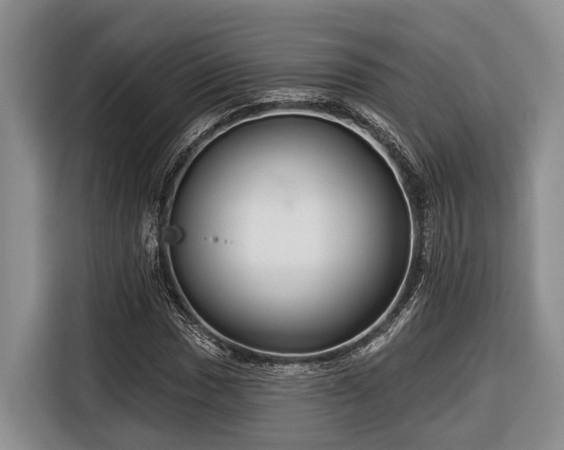 X0000116671017200912211559