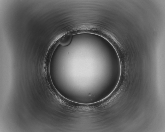 X0000116671018200912211559