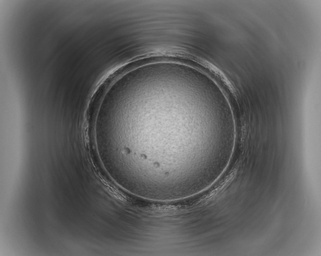 X0000116671019200912211559