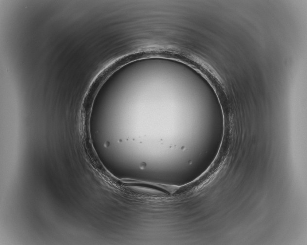 X0000116671021200912211559