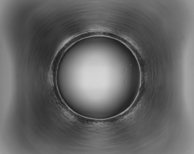 X0000116671022200912211559