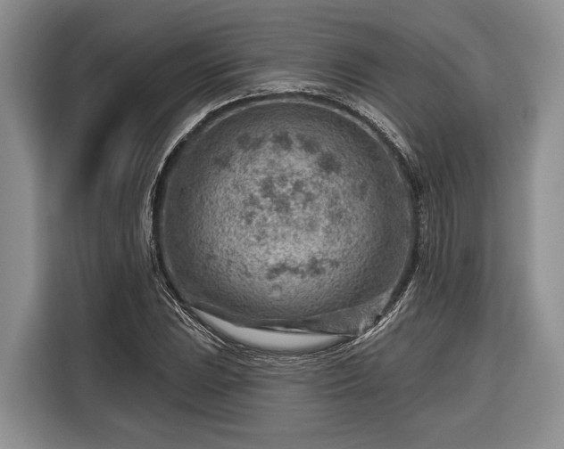 X0000116671023200912211559