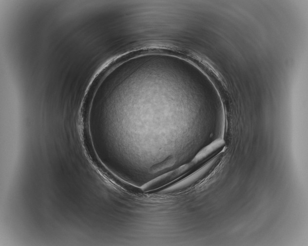 X0000116671024200912211559