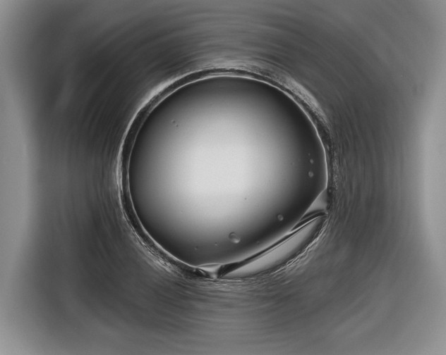 X0000116671028200912211559