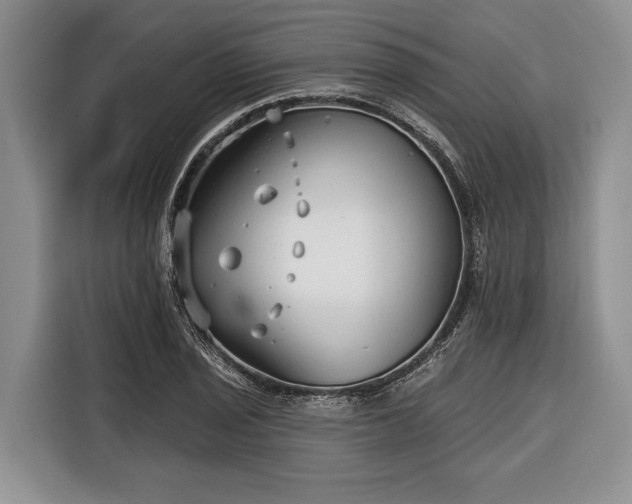 X0000116671029200912211559